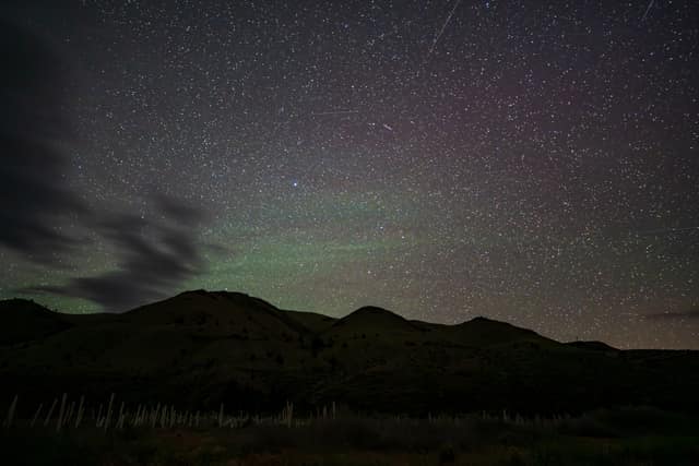 Selected photograph by Jacob McKelvy